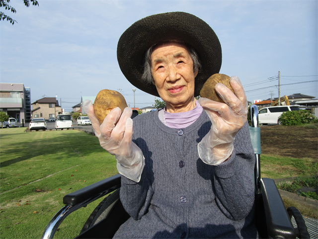 じゃがいもの収穫