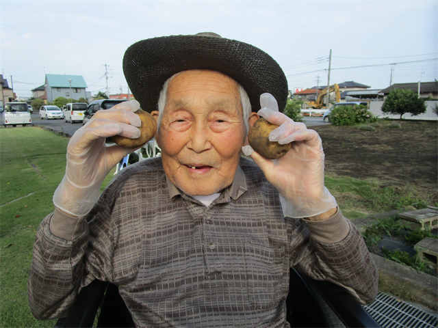 じゃがいもの収穫