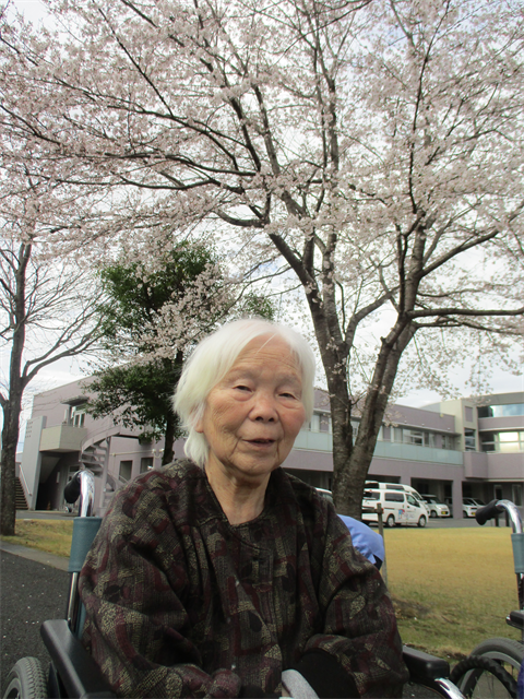 お花見をしました