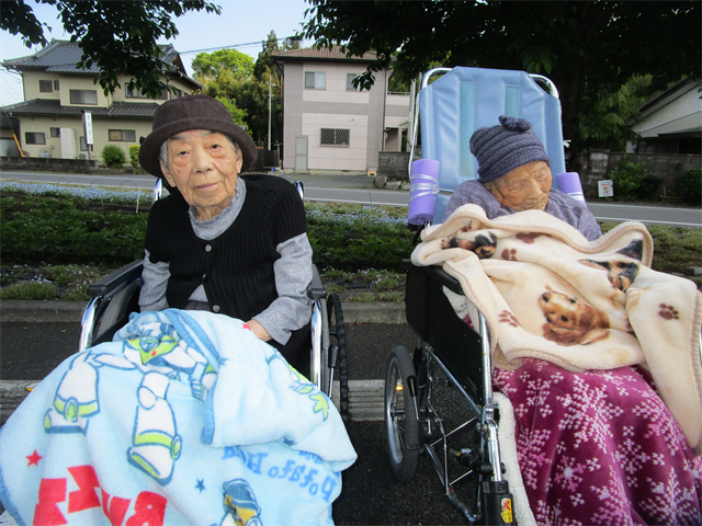 散歩に行きました