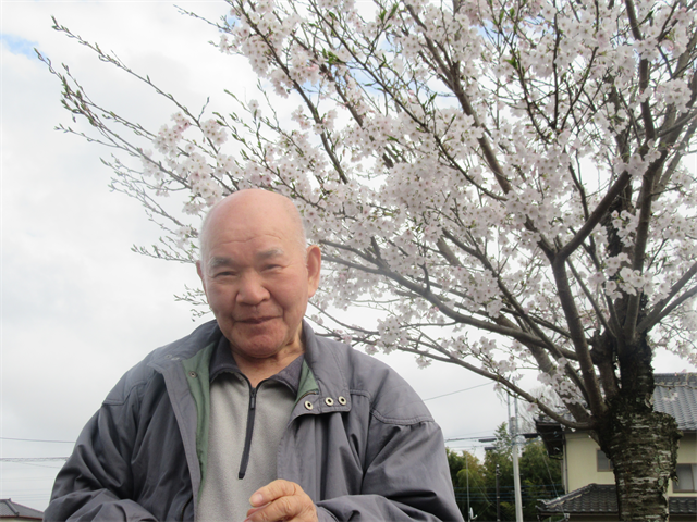 桜の木の下で