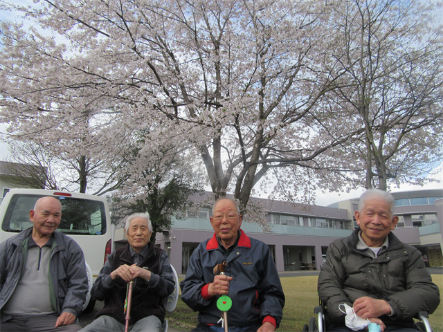 桜の木の下で