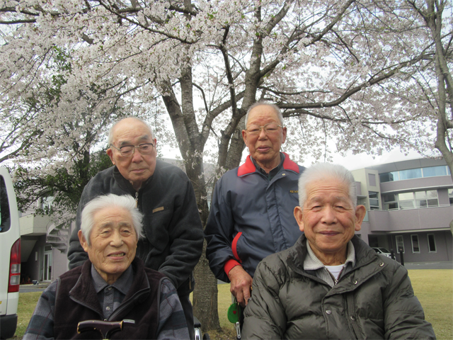 桜の木の下で