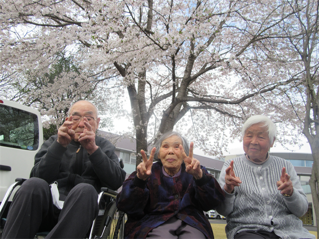 桜の木の下で