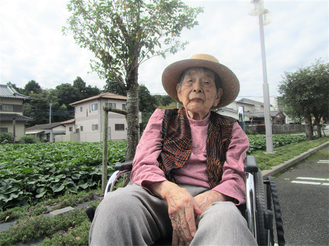 日常のご様子
