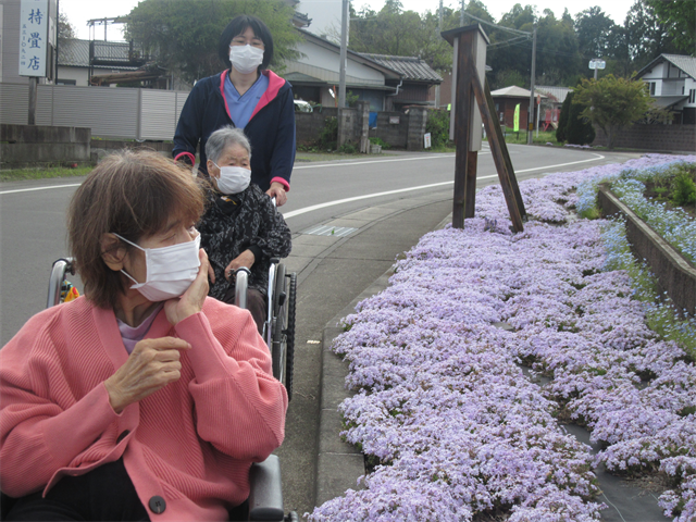 お花見喫茶