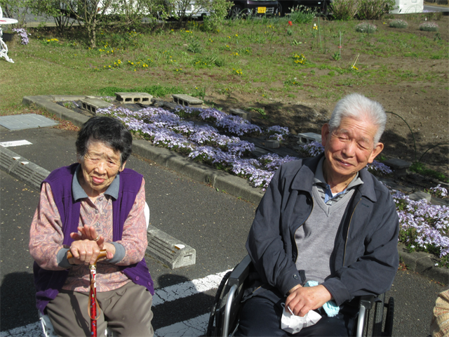お花見