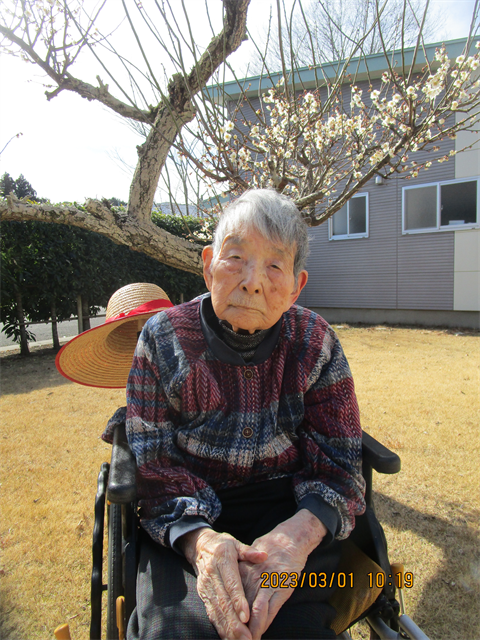 梅の花