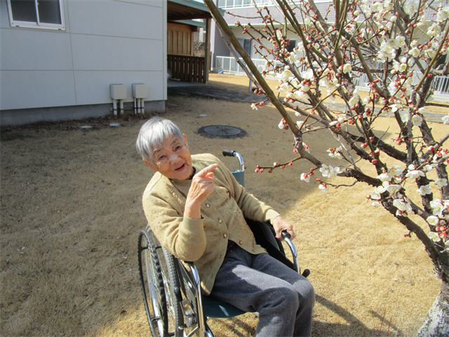 梅の花