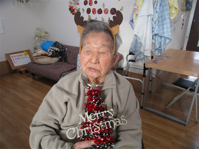 クリスマス飾りと