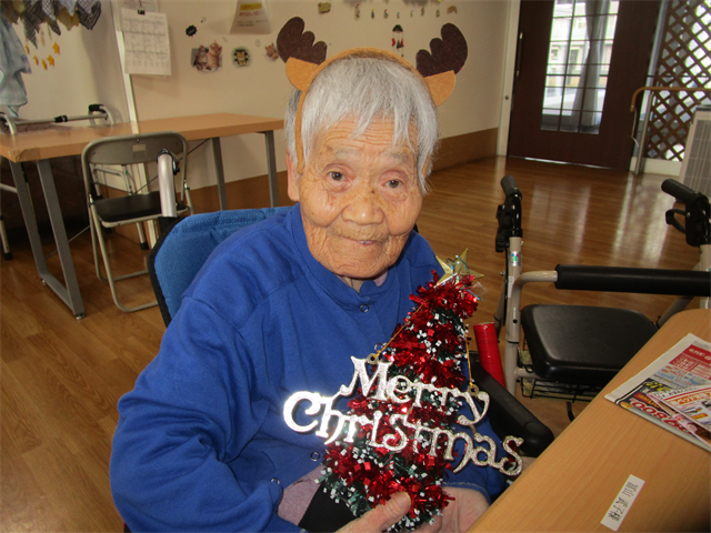 クリスマス飾りと
