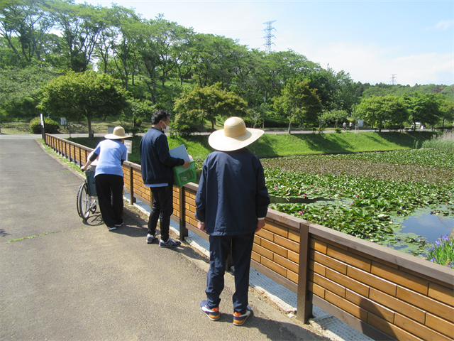 静峯ふるさと公園散策