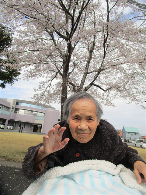 お花見とおでん