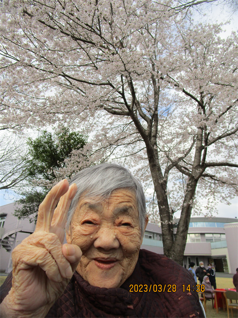 お花見とおでん