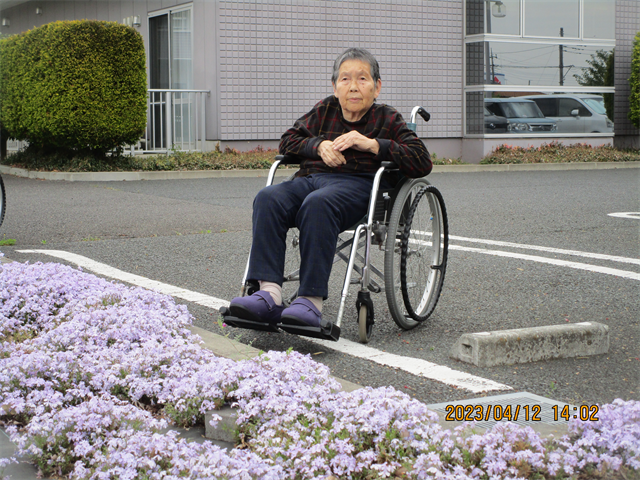 散歩しました