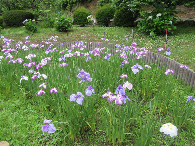 桃源に行きました