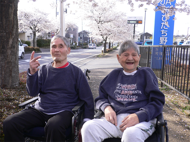 お花見ドライブ