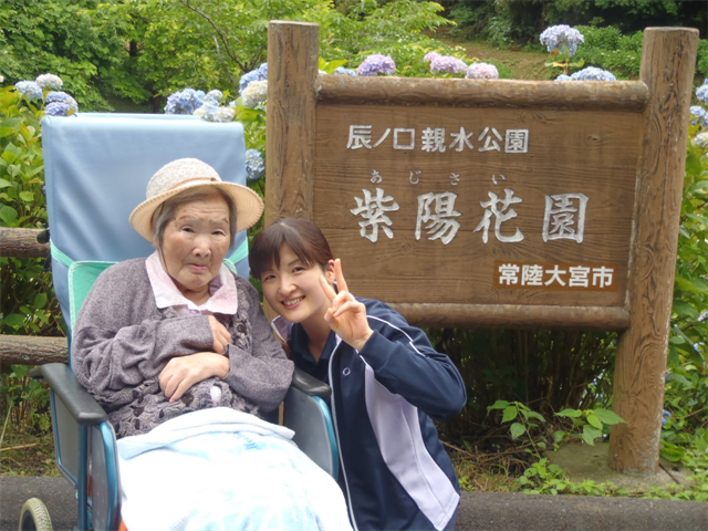 花菖蒲、紫陽花