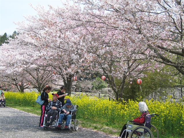 お花見