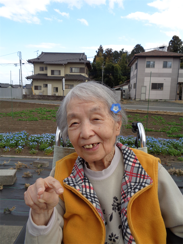 お散歩