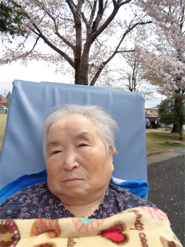 お花見