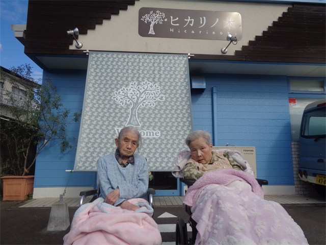 ヒカリノ木