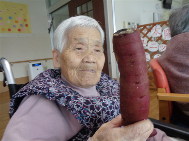 さつま芋