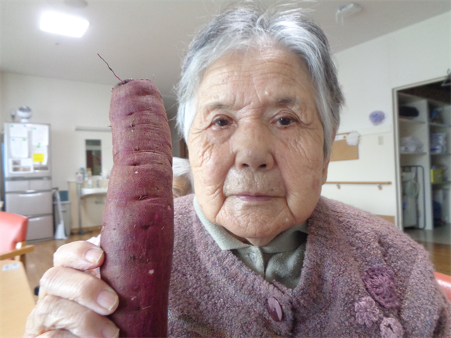 さつま芋