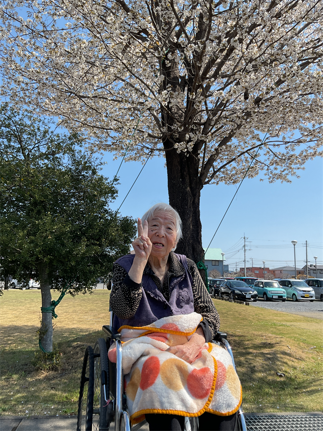 花見②