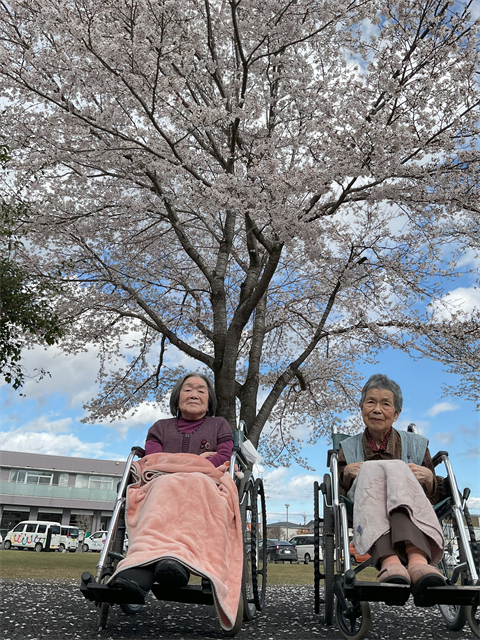 花見