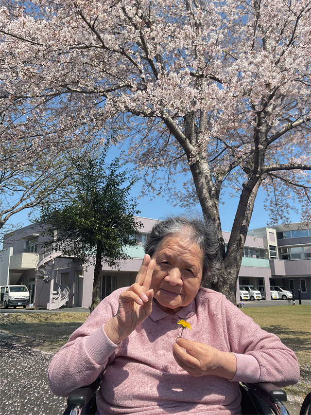 花見③