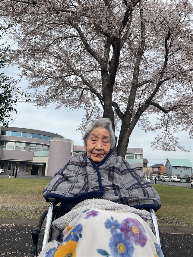 花見③
