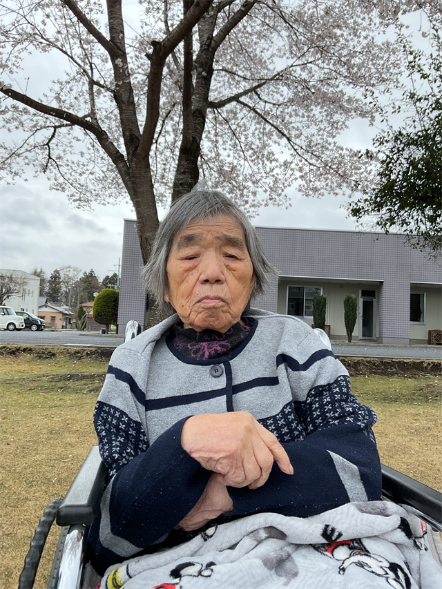 花見