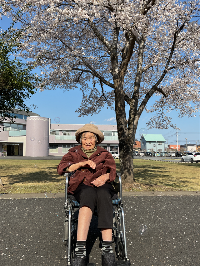 花見②