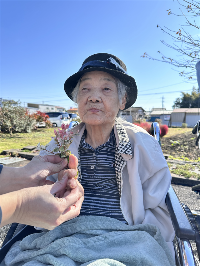 お散歩