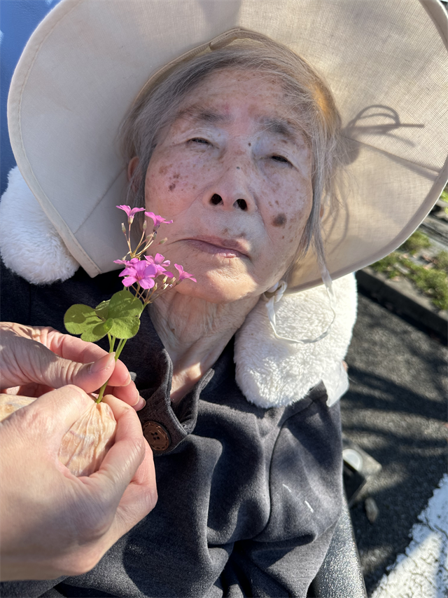 お散歩