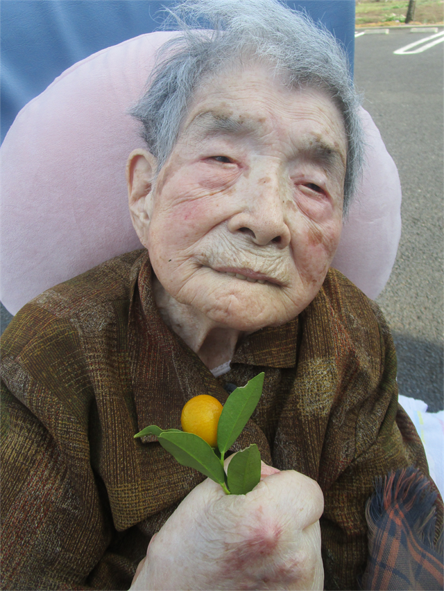 お散歩