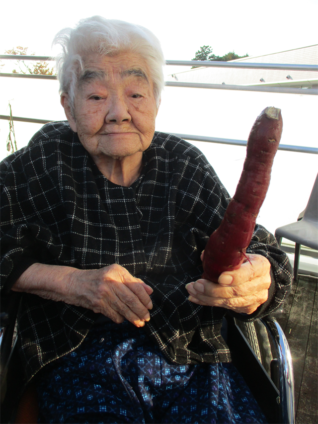 さつまいも洗い